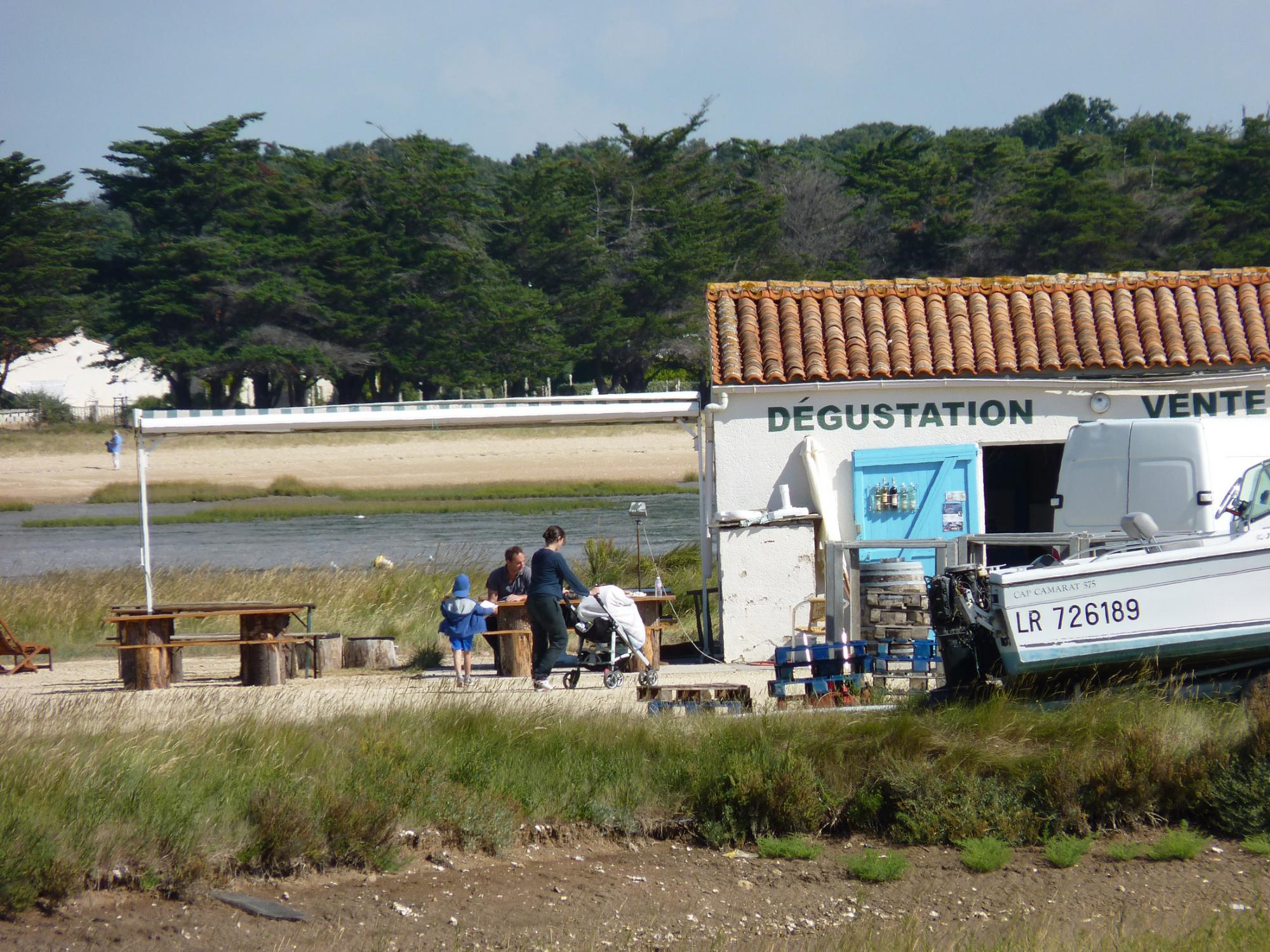 A la découverte de l'huître d'Aix - Liaisons maritimes fouras / Île d'Aix