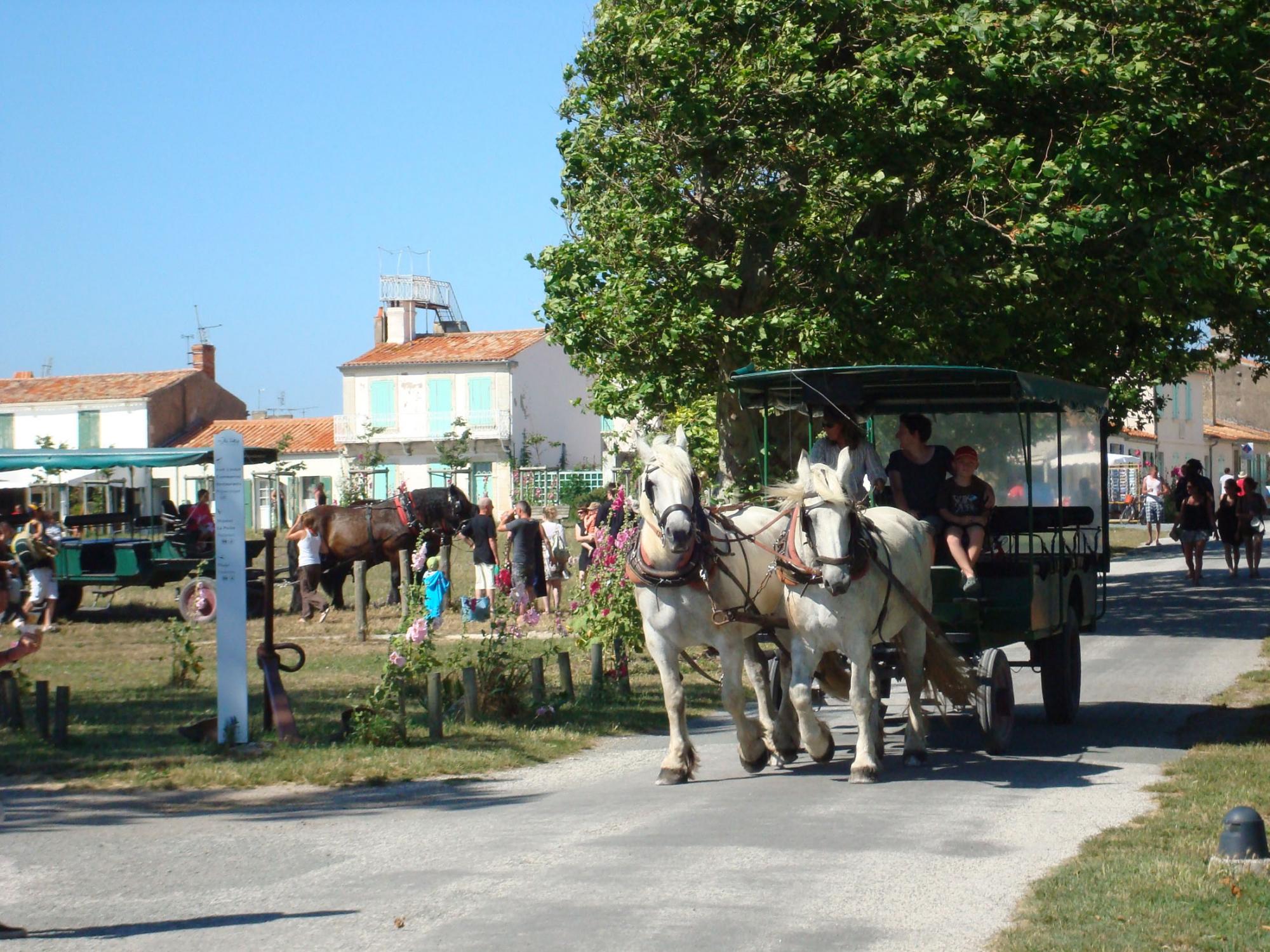 Aix eiland per paard en wagen - Overtochten met de veerboten Fouras / Aix eiland
